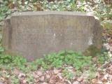image of grave number 156546